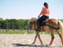 Equicore Complete Equiband Pro System
